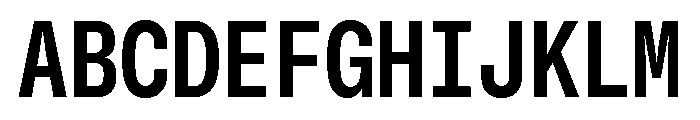 GTStandardMono NarrowBold Font UPPERCASE