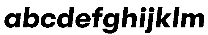 GTWalsheimLC BdOb FONT