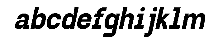 Gubera Mono Italic FONT