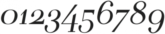 Gunterhaus Modern Italic otf (400) Font OTHER CHARS
