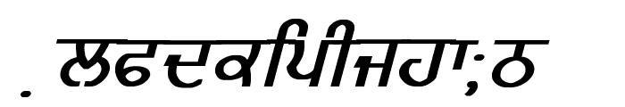 GurmukhiLys 020 Bold Italic Font LOWERCASE