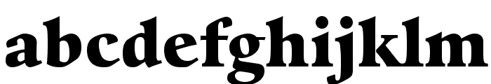 GuardiLTStd-Black Font LOWERCASE