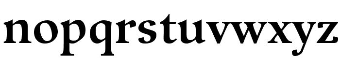 GuardiLTStd-Bold Font LOWERCASE