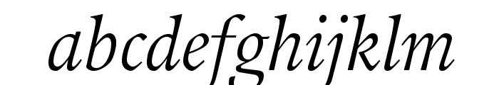 GuardiLTStd-Italic Font LOWERCASE