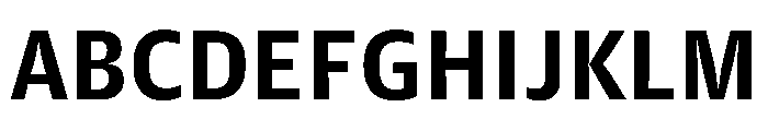 Guardian Agate Sans Bold Font UPPERCASE