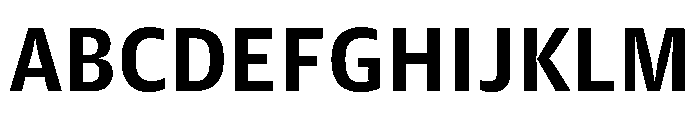 Guardian Agate Sans Grades G1 Bold Font UPPERCASE