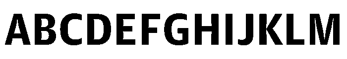 Guardian Agate Sans Grades G4 Bold Font UPPERCASE