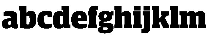 Guardian Compact Black FONT