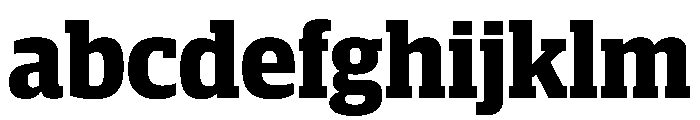 Guardian Compact Bold FONT