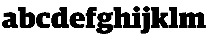 Guardian Egyptian Headline Black FONT