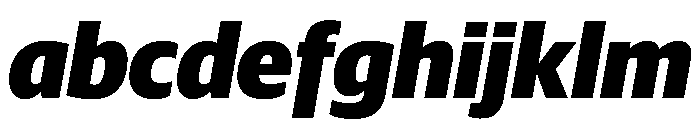 Guardian Sans Headline Black Italic FONT