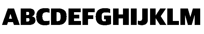 Guardian Sans Headline Black Font UPPERCASE