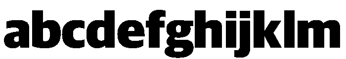 Guardian Sans Headline Black FONT
