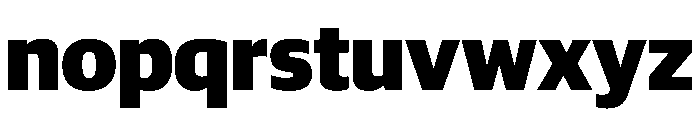Guardian Sans Headline Black Font LOWERCASE