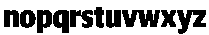 Guardian Sans Headline Condensed Black Font LOWERCASE