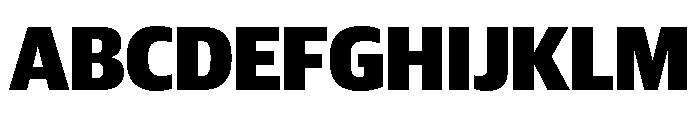 Guardian Sans Headline Narrow Black Font UPPERCASE