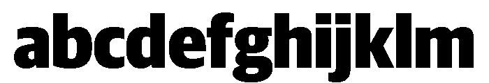 Guardian Sans Headline Narrow Black FONT