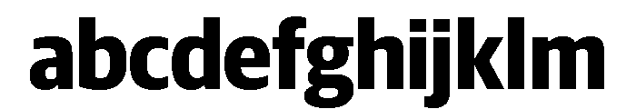 Guardian Sans Headline Narrow Bold FONT