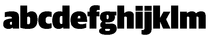 Guardian Sans Headline Narrow Ultra FONT