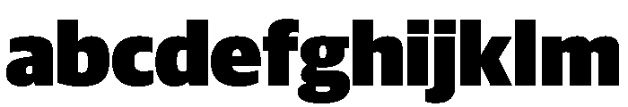 Guardian Sans Headline Ultra FONT