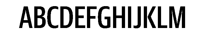 Guardian Sans Headline X Condensed Medium Font UPPERCASE