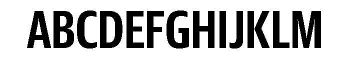 Guardian Sans Headline X Condensed Semibold Font UPPERCASE