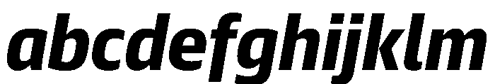 Guardian Sans Text Black Italic FONT