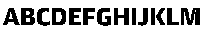 Guardian Sans Text Black Font UPPERCASE