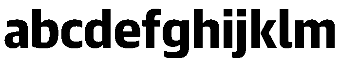 Guardian Sans Text Black FONT