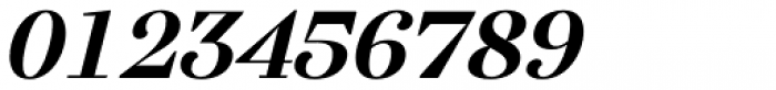 Gwyner Bold Italic Font OTHER CHARS