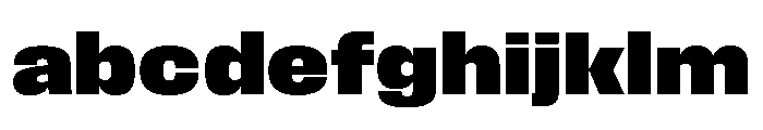 Hagrid Extra Bold FONT