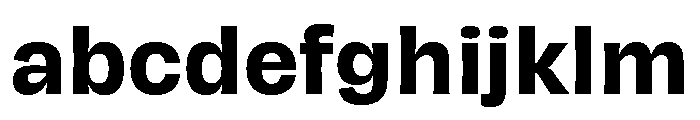 Hagrid Text Bold FONT