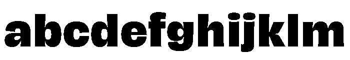 Hagrid Text Extrabold FONT