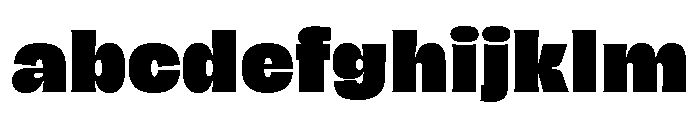 Hagrid Text Heavy FONT