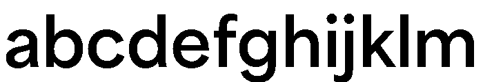 Halyard Variable Extra Bold FONT