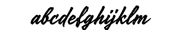 Hauser Script Medium FONT