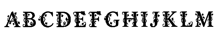 Haden Regular Font UPPERCASE