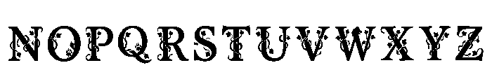 Haden Regular Font UPPERCASE