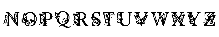 Hafsa Regular Font UPPERCASE