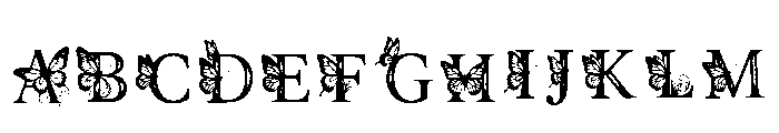 Hafsa Regular FONT