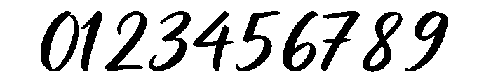 Handwriting Signature Font OTHER CHARS