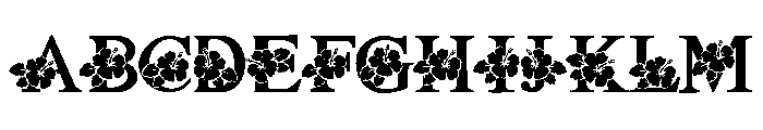Hawaii summer Font UPPERCASE