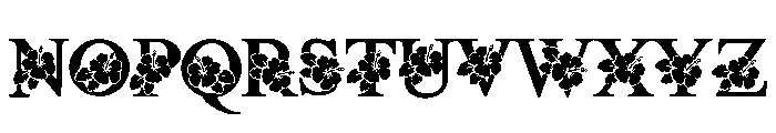 Hawaii summer Font UPPERCASE