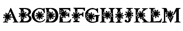 Hawaii summer FONT