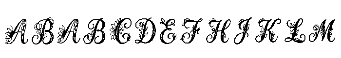 Hawk Regular FONT