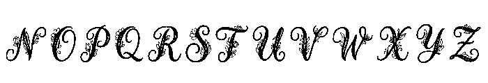 Hawk Regular Font LOWERCASE