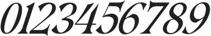 HamachiFont-Italic otf (400) Font OTHER CHARS