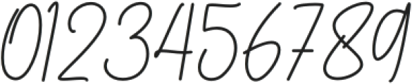 Handoyo Signature otf (400) Font OTHER CHARS