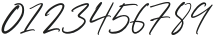 Handsome Signature Regular otf (400) Font OTHER CHARS