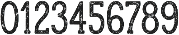 Hanley Rough PUA Slim Serif otf (400) Font OTHER CHARS